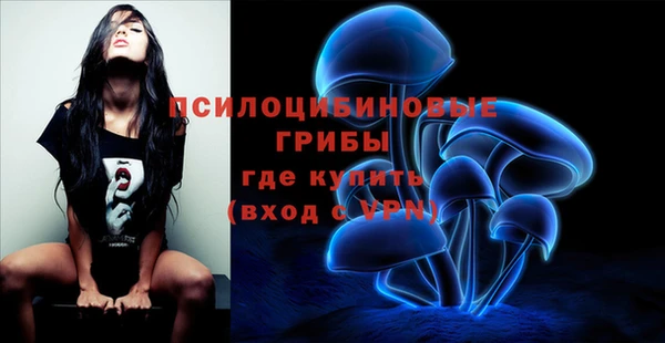 Альфа ПВП Алексеевка
