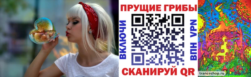 даркнет сайт  Малая Вишера  Псилоцибиновые грибы мухоморы 