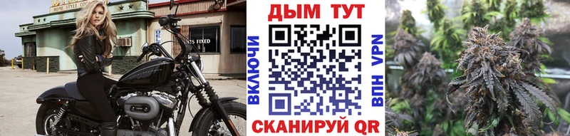 Канабис семена  Малая Вишера 